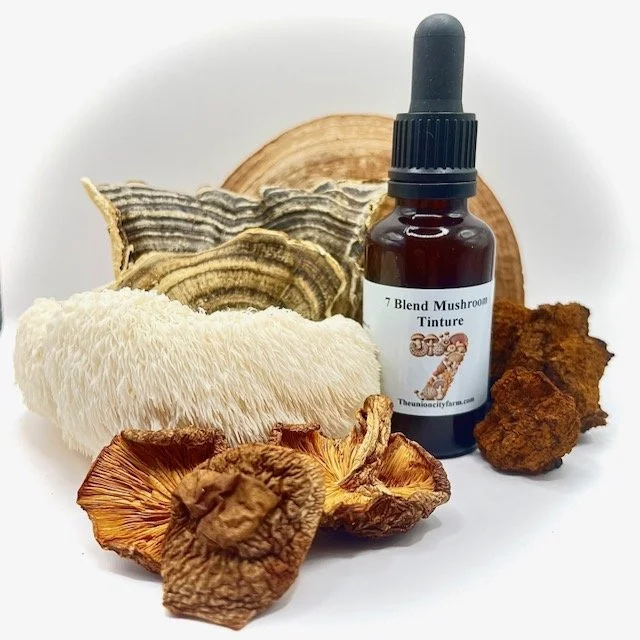Super 7 Mushroom Blend Tincture — Union City Farm